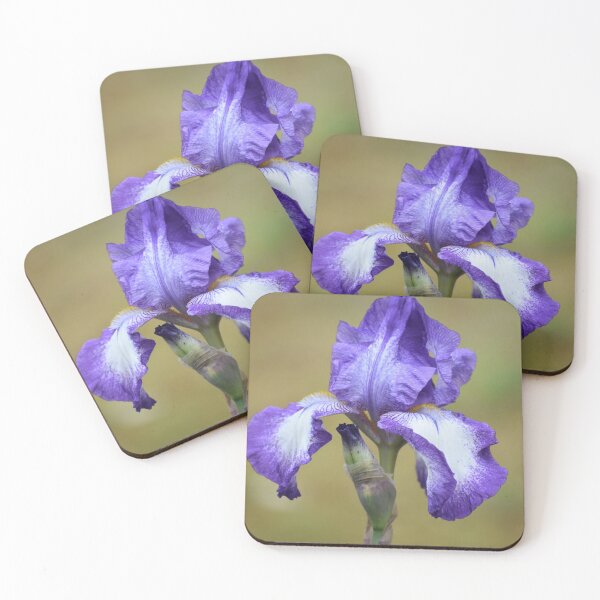 Item preview, Iris  designed and sold by Tonia Delozier's Photography .