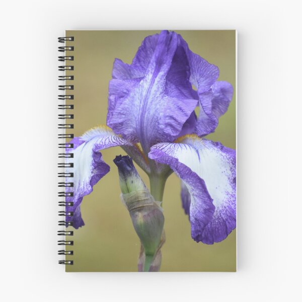 Item preview, Iris  designed and sold by Tonia Delozier's Photography .