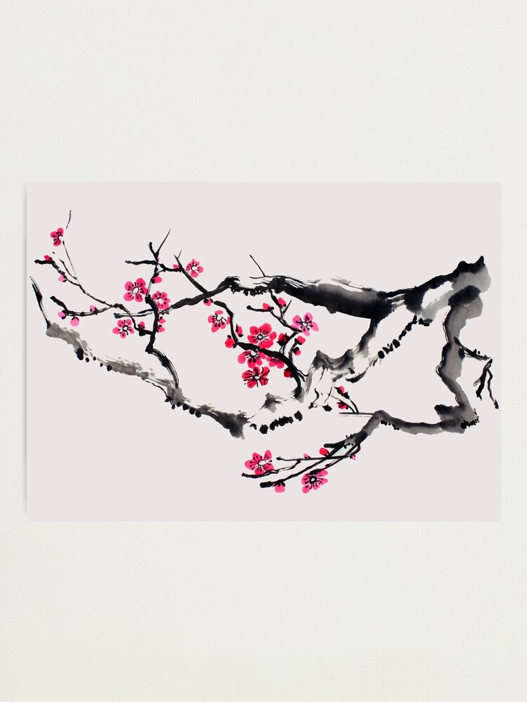 Japanese Cherry Blossom Tree | Photographic Print