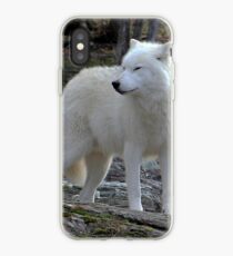 Arctic Wolf on the alert. iPhone Case