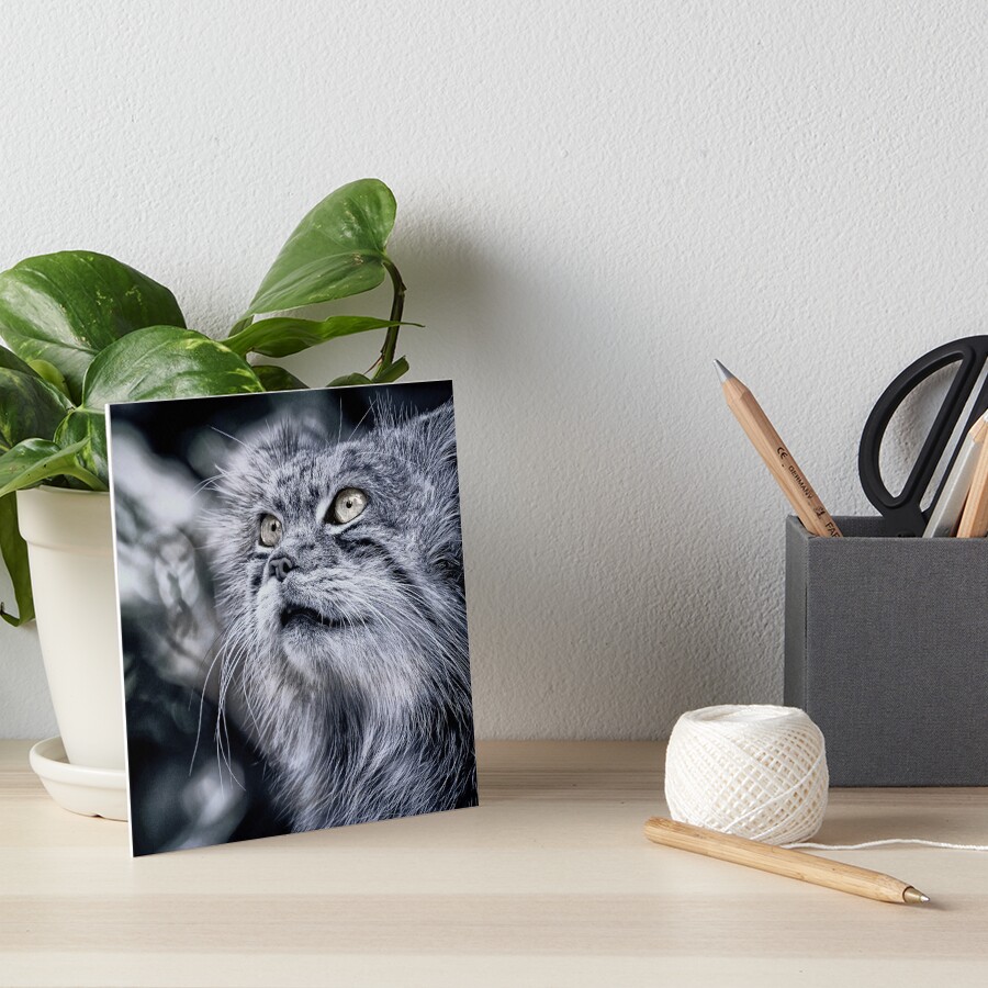 Item preview, Art Board Print designed and sold by Coigach.