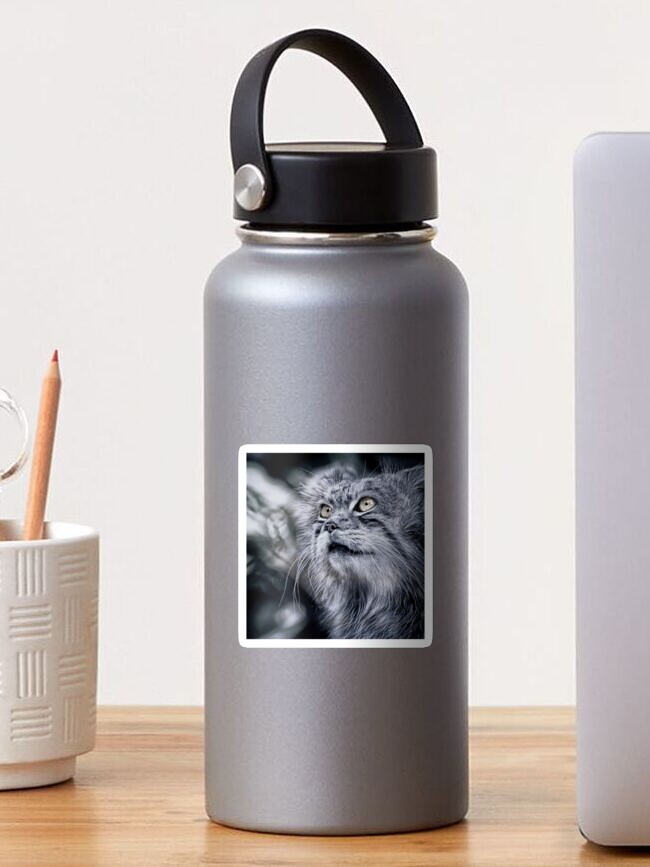 Thumbnail 1 of 3, Sticker, PORTRAIT: MANUL designed and sold by Coigach.