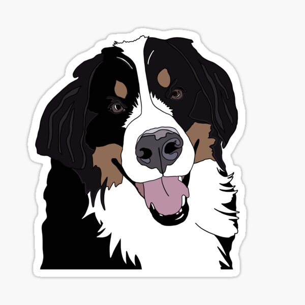 Angus the Bernese Mountain Dog Sticker
