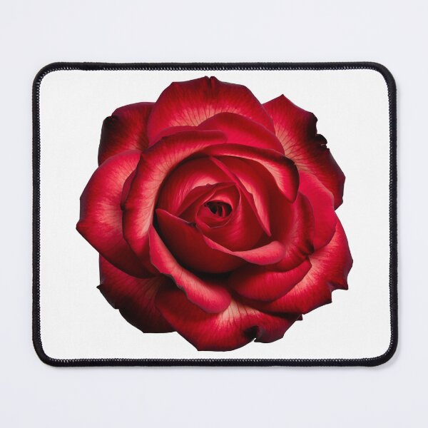 Item preview, "Radiant Rose: Elegance in Red" designed and sold by JAMESAMORN.
