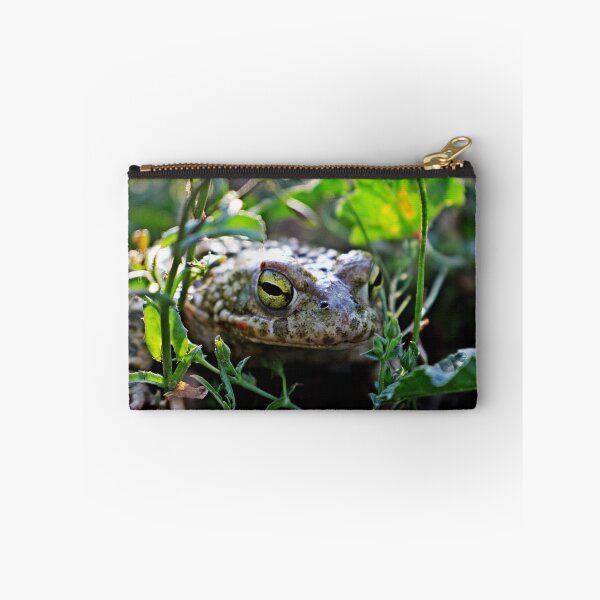 Item preview, Green Frog designed and sold by dedakota.