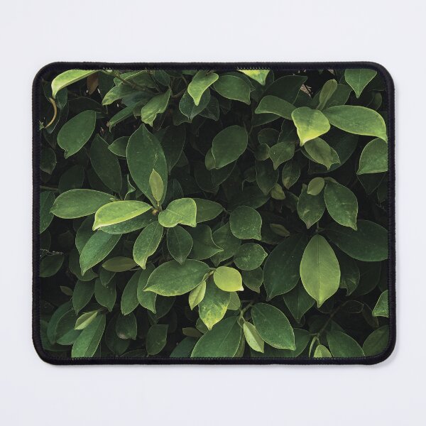 Item preview, Tree leaves collection designed and sold by Wolagno.