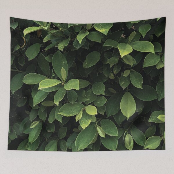 Item preview, Tree leaves collection designed and sold by Wolagno.