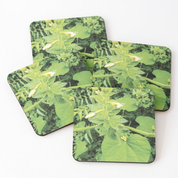 Item preview, Tree leaves collection 2 designed and sold by Wolagno.