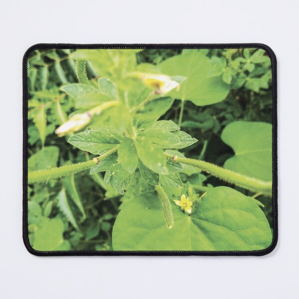 Item preview, Tree leaves collection 2 designed and sold by Wolagno.