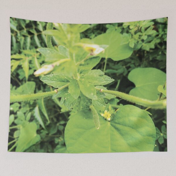 Item preview, Tree leaves collection 2 designed and sold by Wolagno.