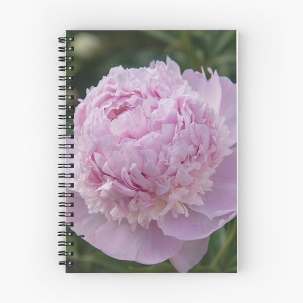 Item preview, Pink Peony designed and sold by EagleRockDesign.