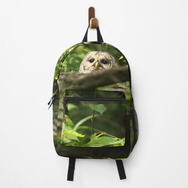 Item preview, Pretty barred owl designed and sold by locustgirl.