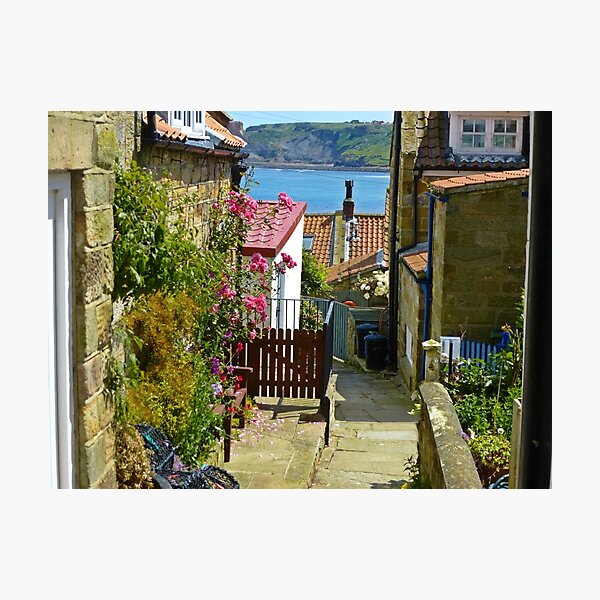 Item preview, Runswick Bay designed and sold by Sue Gurney.