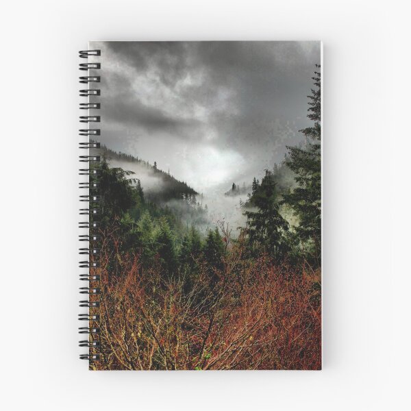 Artikelvorschau, Dann kam das Licht - Oregon High Cascades entworfen und verkauft von Charles & Patricia Harkins ~ Picture Oregon.