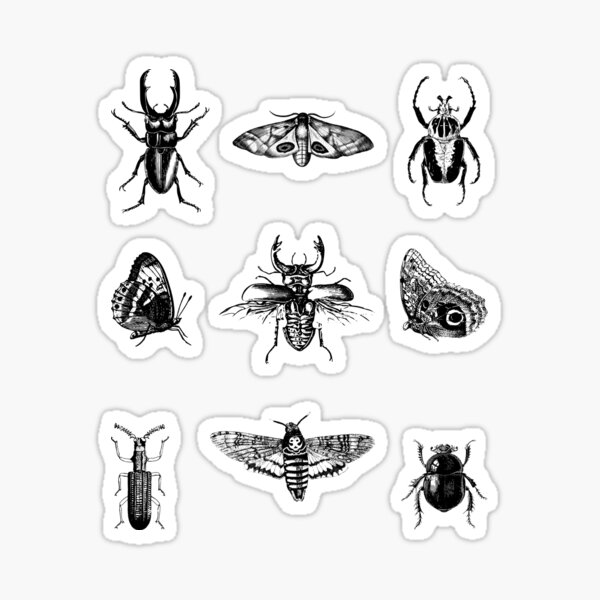Item preview, Entomology: Beetles, Butterflies and Moths designed and sold by Suspiria96.