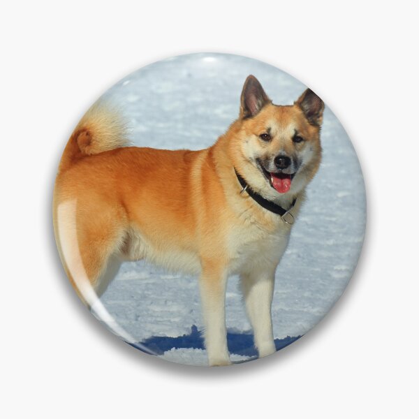 Item preview, IcelandicSheepdog20160201 designed and sold by JAMFoto.