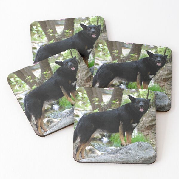 Item preview, Queen of Creek's Rock designed and sold by OpalPhotos.