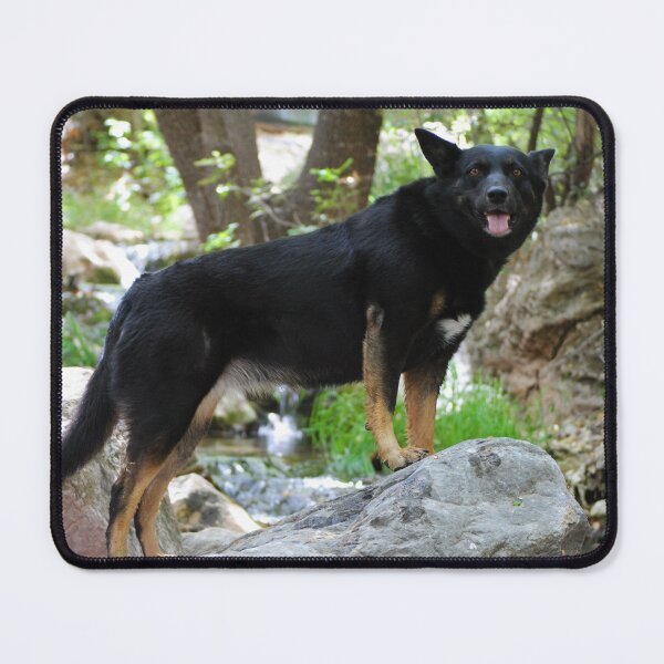 Item preview, Queen of Creek's Rock designed and sold by OpalPhotos.