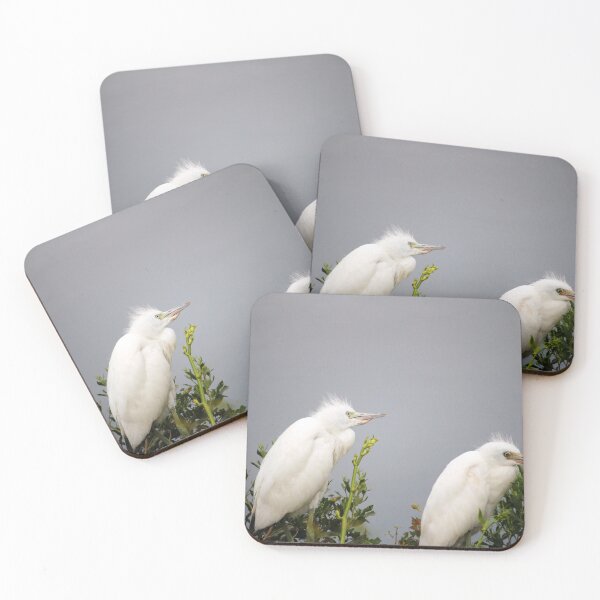 Item preview, Snowy White Egrets Perched designed and sold by Cynthia48.