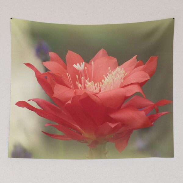 Item preview, Cactus flower designed and sold by ana dawani.