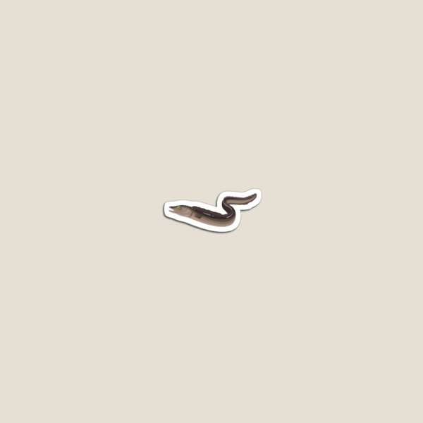 Item preview, Moray Eel Sticker designed and sold by Trialloja.