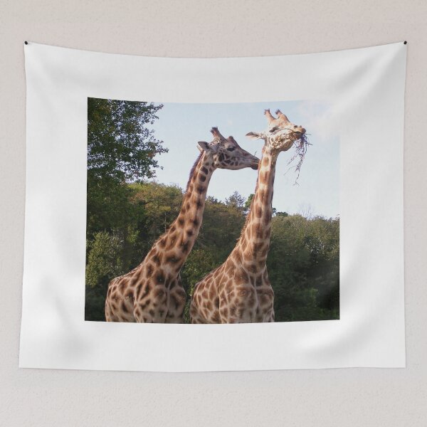 Item preview, Giraffes at Paignton Zoo designed and sold by lezvee.