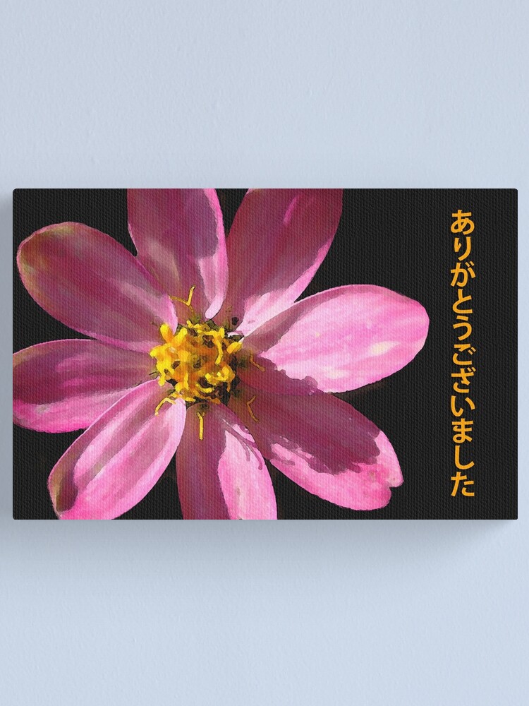 Vielen Dank Japanisch Rosa Blume Leinwanddruck Von Shoaffballanger Redbubble