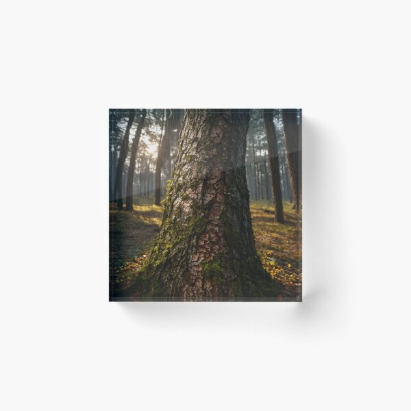 Item preview, Beech Life designed and sold by hessel1.