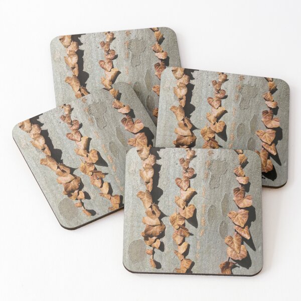 Item preview, Dead Ivy Leaves on Plane Tree Bark designed and sold by Gaboro.