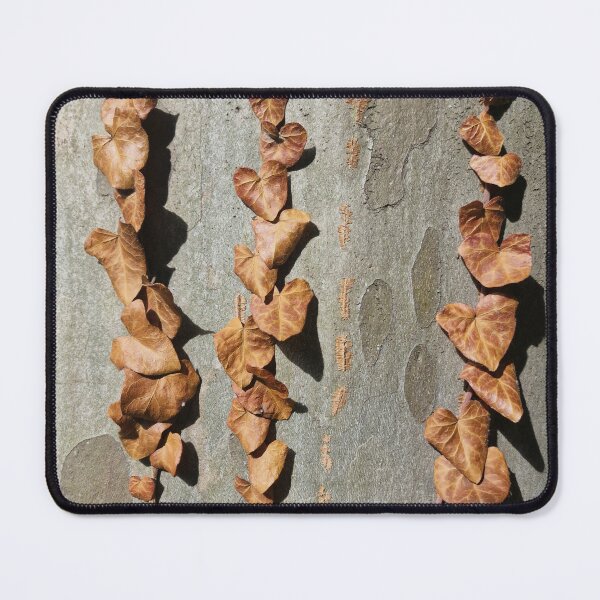 Item preview, Dead Ivy Leaves on Plane Tree Bark designed and sold by Gaboro.