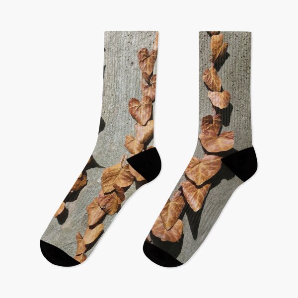 Item preview, Dead Ivy Leaves on Plane Tree Bark designed and sold by Gaboro.