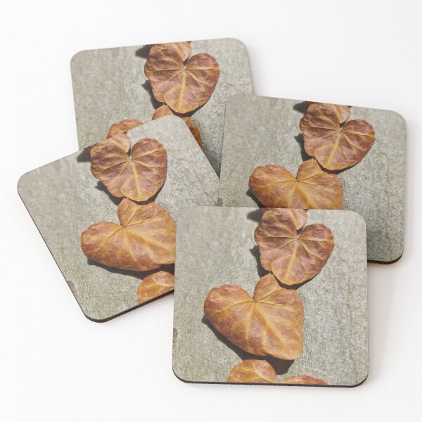 Item preview, Dry Ivy Leaves on Plane Tree Bark, Closeup designed and sold by Gaboro.