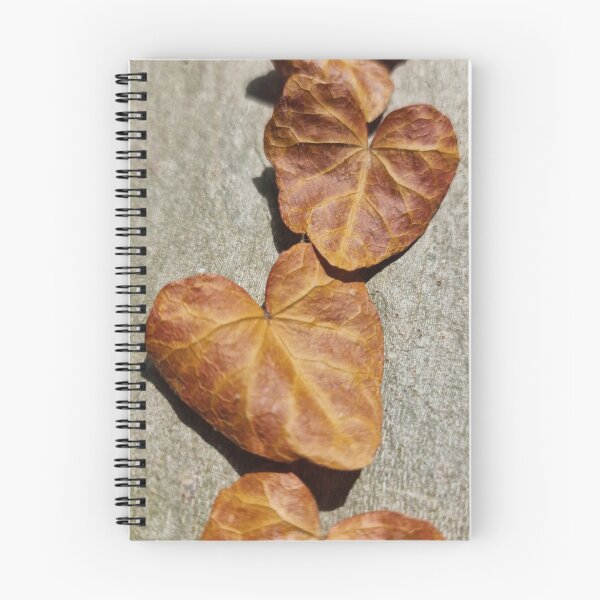 Item preview, Dry Ivy Leaves on Plane Tree Bark, Closeup designed and sold by Gaboro.