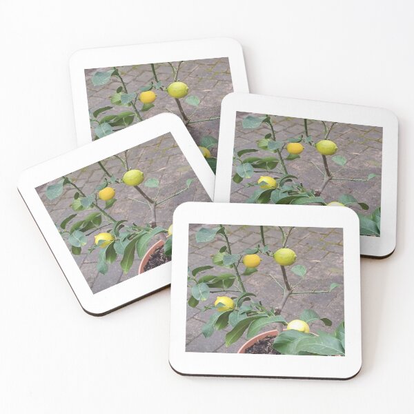 Item preview, Lemons on tree designed and sold by doctorezzo.
