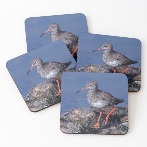 Item preview, El archibebe común designed and sold by Tom McPherson Photography.