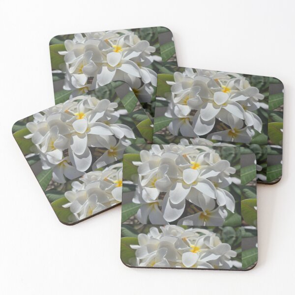 Item preview, White plumeria blossom photograph  designed and sold by esvb.
