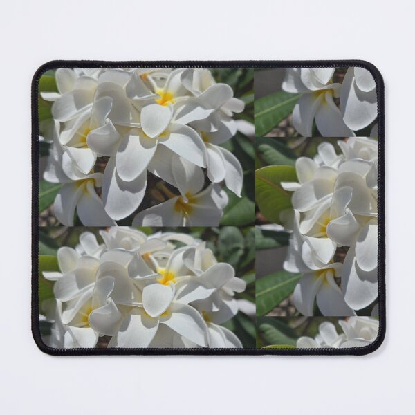 Item preview, White plumeria blossom photograph designed and sold by esvb.