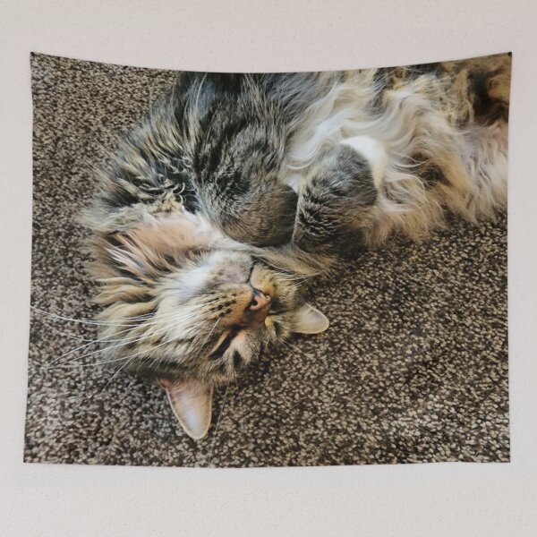 Item preview, Silly Kitty designed and sold by ColorRoadians.