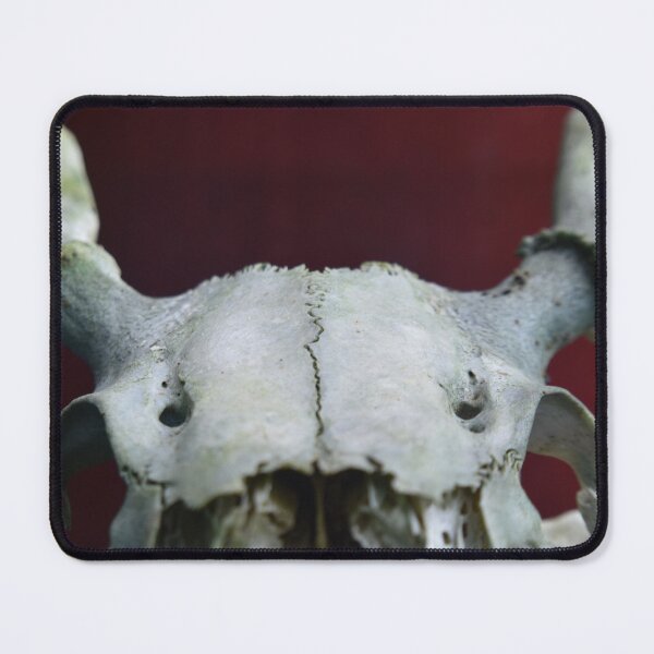 Item preview, Buck Skull designed and sold by Tonia Delozier's Photography .