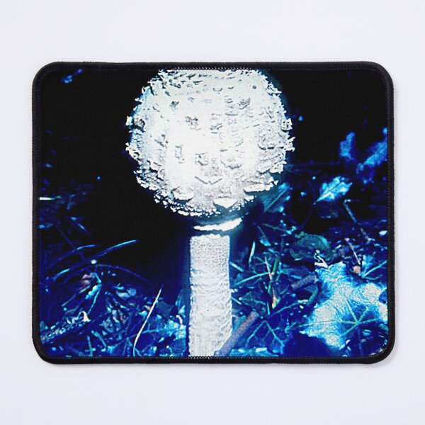 Item preview, Fungo "Mazza da tamburo" Monti Lessini (Verona) designed and sold by Gmzago.