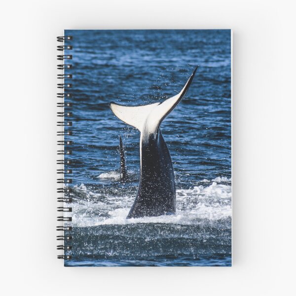 Item preview, Orca Fluke designed and sold by Selena Rivera.