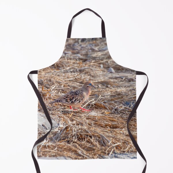 Item preview, Blue Eyed Galapagos Dove designed and sold by SafariByMarisa.
