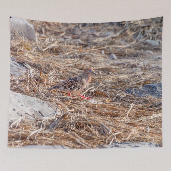 Item preview, Blue Eyed Galapagos Dove designed and sold by SafariByMarisa.