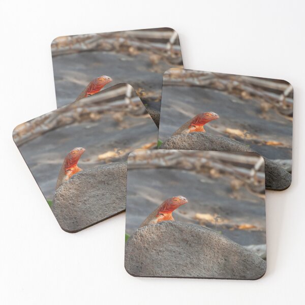 Item preview, Red Lizard on Stone designed and sold by SafariByMarisa.