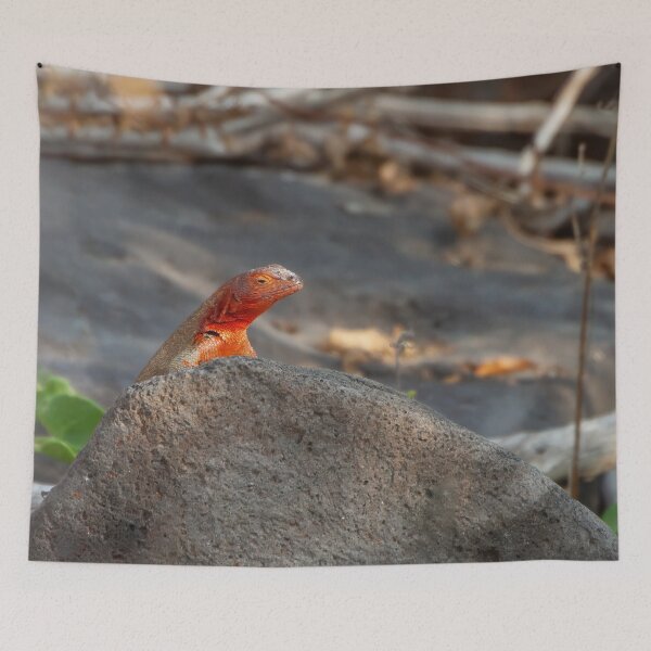 Item preview, Red Lizard on Stone designed and sold by SafariByMarisa.