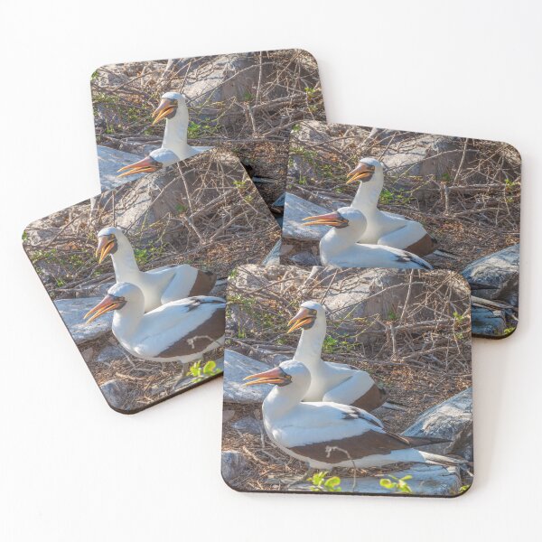 Item preview, Nesting Rookery in the Galapagos Islands designed and sold by SafariByMarisa.