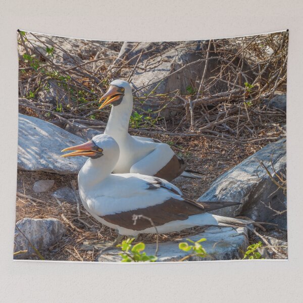 Item preview, Nesting Rookery in the Galapagos Islands designed and sold by SafariByMarisa.