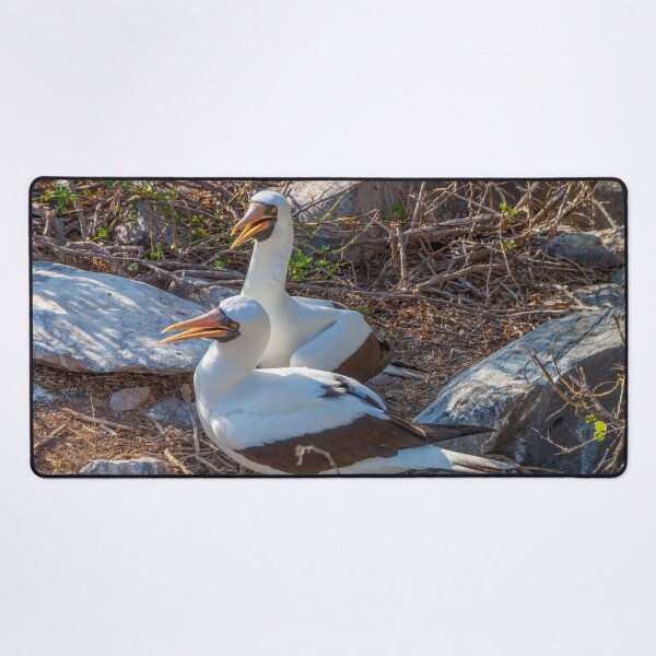 Item preview, Nesting Rookery in the Galapagos Islands designed and sold by SafariByMarisa.
