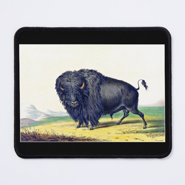 Item preview, American Buffalo 1844 George Catlin designed and sold by RocketshipRetro.
