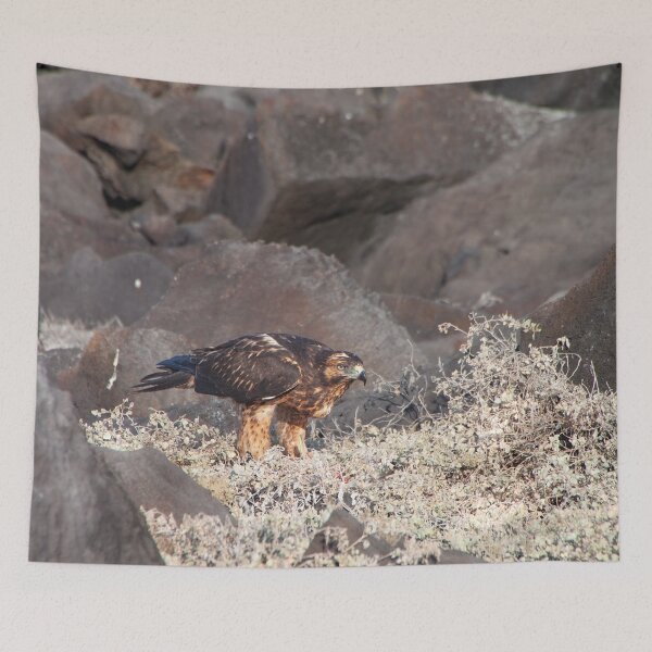 Item preview, Galapagos Hawk Raptor Bird designed and sold by SafariByMarisa.